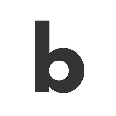 boldive.com's icon