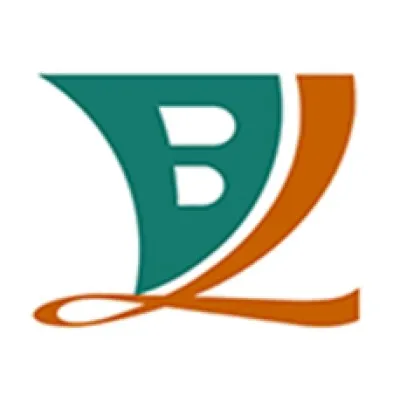 bolionfpc.com's icon