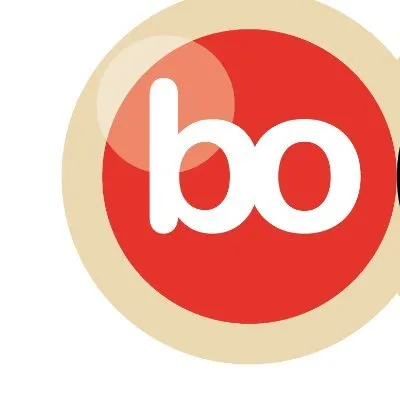 bollenstreekomroep.nl's icon