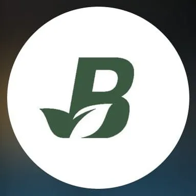 bolpriaven.net's icon