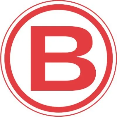 boluda.com.es's icon