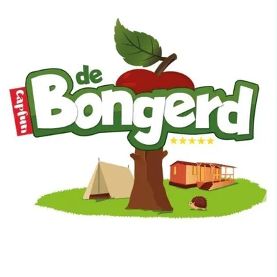 bongerd.nl's icon