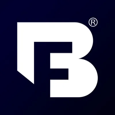 bonneyforge.com's icon