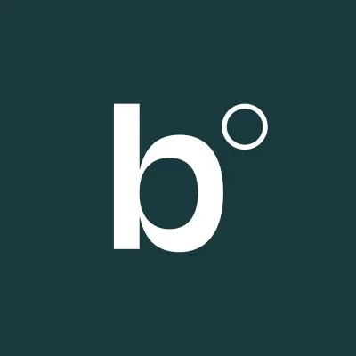 bonsbagos.com's icon