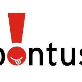 bontusgames.com's icon