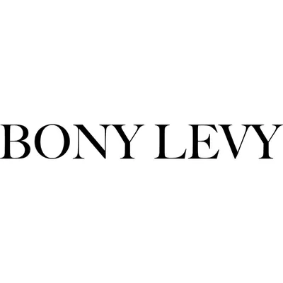 bonylevy.com's icon