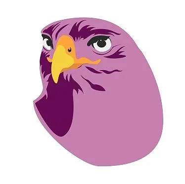 bookinghawk.com's icon