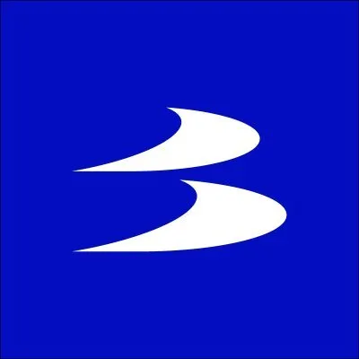 boomdevs.com's icon