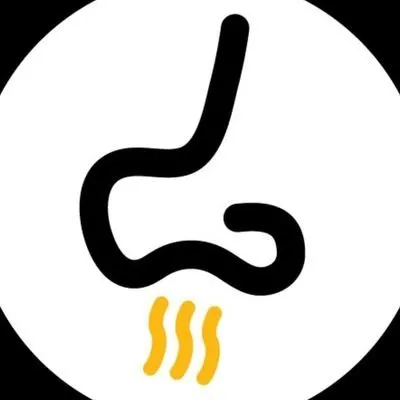 boomidi.net's icon