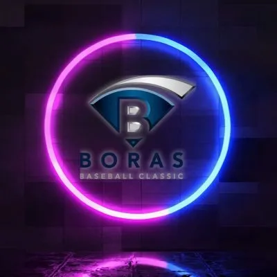 borasclassic.com's icon