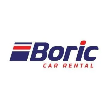 boriccar.com's icon