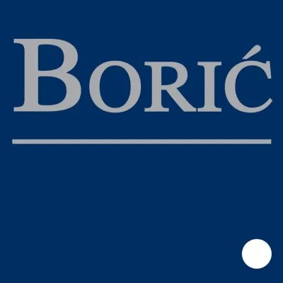 boriclaw.com's icon