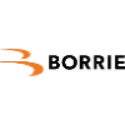 borrie.nl's icon
