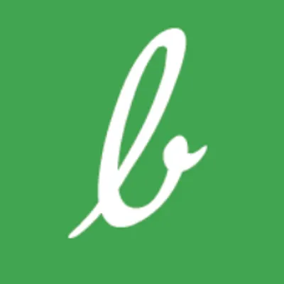 borrowlli.com's icon