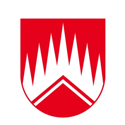 boskovice.cz's icon