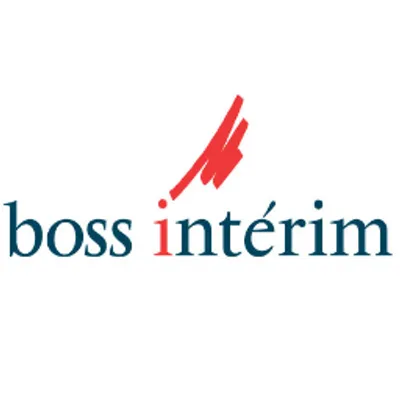 boss-interim.net's icon