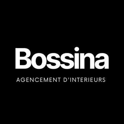 bossina.fr's icon