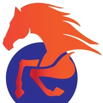 bossmeek.com's icon