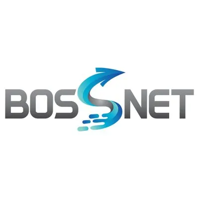 bossnet.ro's icon