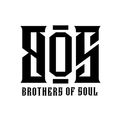 bosstore.com.br's icon