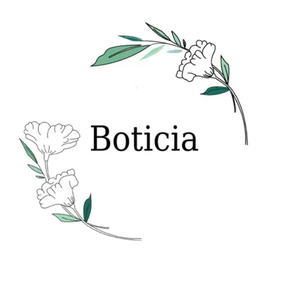 boticia.fr's icon