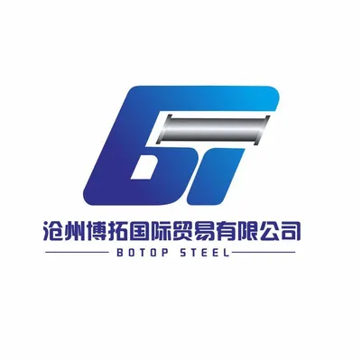 botopsteelpipe.com's icon