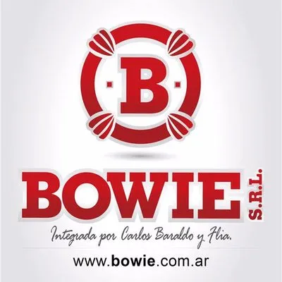 bowie.com.ar's icon