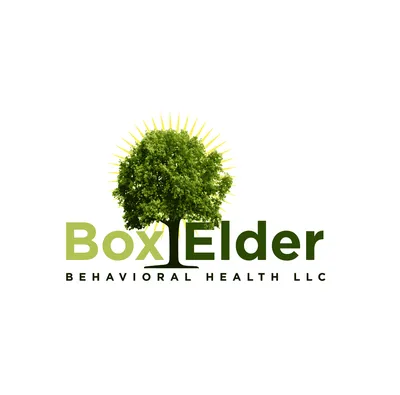 boxelderbehavioralhealth.com's icon
