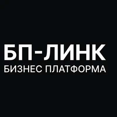 bplink.pro's icon
