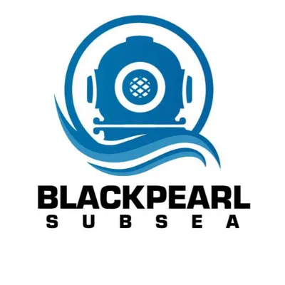 bpsubsea.com's icon