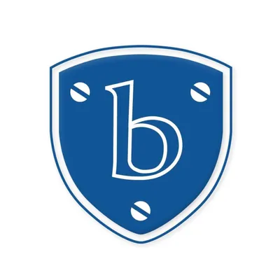 bradbury-group.com's icon