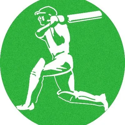 bradman.com.au's icon