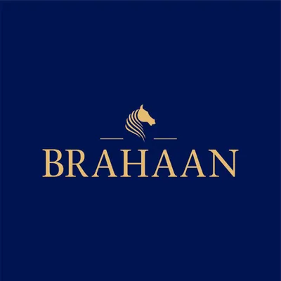 brahaan.com's icon