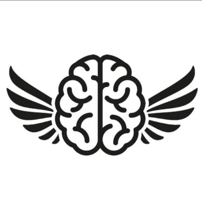 brainbarstudio.com's icon