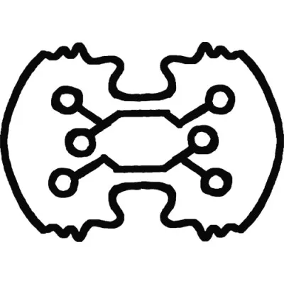 braincapture.dk's icon