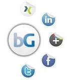 brainguide.de's icon