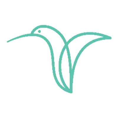 braininstitute.ro's icon