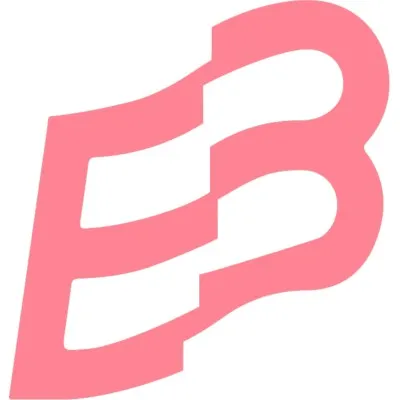 brainit.cl's icon
