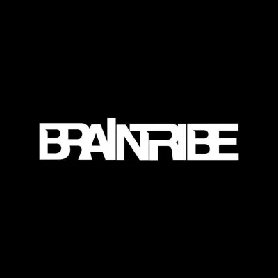 braintribe.com's icon