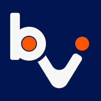 brainvector.com's icon