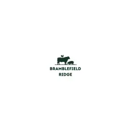 Bramblefieldridge's icon