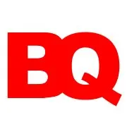 brandquity.com's icon