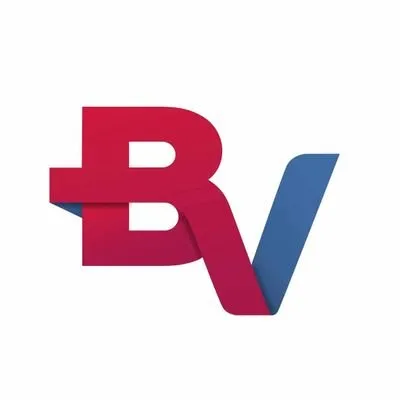 brandvertdigitalsolutions.com's icon