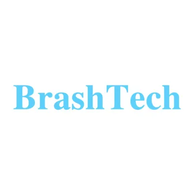BrashTech's icon