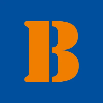 braspress.com.br's icon