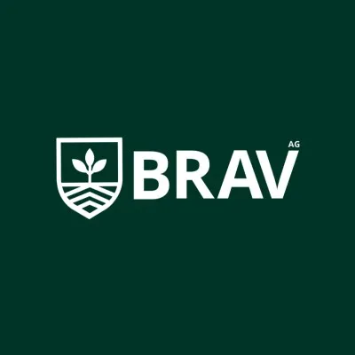 bravag.com.br's icon
