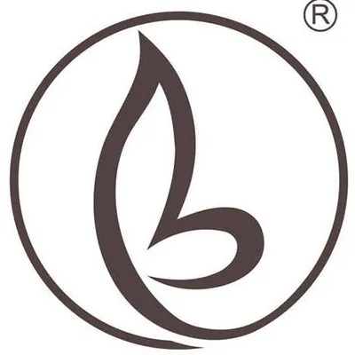 bravour.com's icon