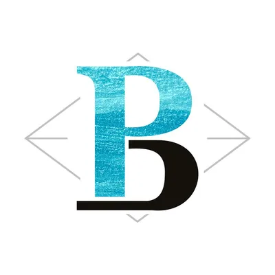 brazilparaibamine.com's icon