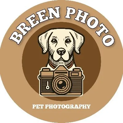 breenphoto.com's icon