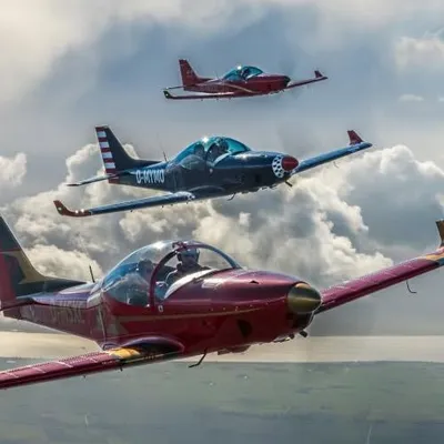 breezeraircraft.de's icon